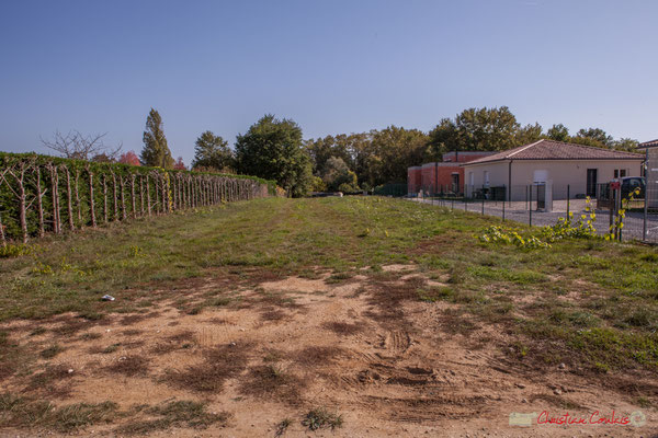 3 Terrain constructible, côté est. Allée du Cloutet, Cénac, Gironde. 16/10/2017