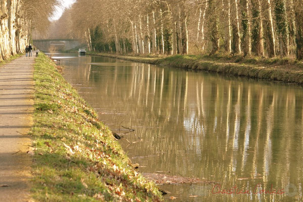 Le long du Canal latéral à la Garonne, Damazan