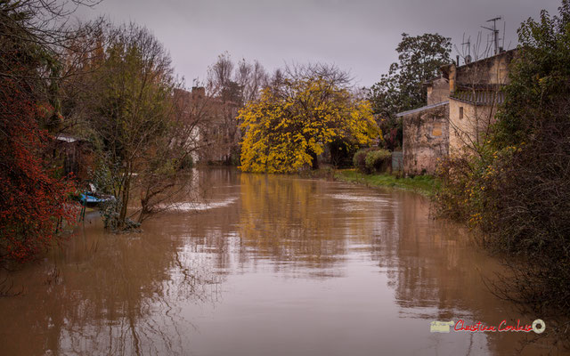 Langoiran (à g.), le Grand Estey, vers l'aval, Le Tourne (à d.). Inondation en bord de Garonne. Samedi 14/12/2019. Photographie © Christian Coulais
