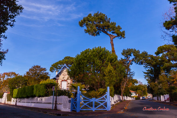 Villa la Chênaie, ville d'hiver, Arcachon. Samedi 20 novembre 2021. Photographie © Christian Coulais