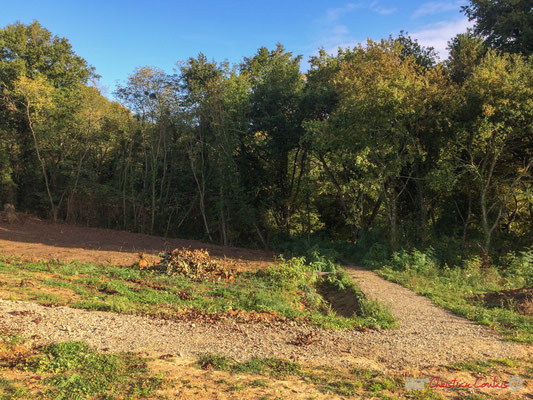 7 Le clos du Petit Maître, avenue du bois du moulin, Cénac, Gironde. 16/10/2017