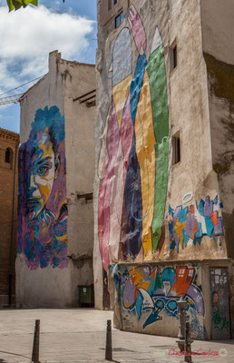 Peintures murales sur immeuble /  Pinturas murales en el edificio, Tudella, Navarra