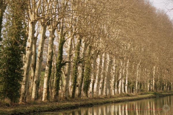 Le long du Canal latéral à la Garonne, Damazan
