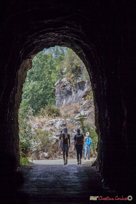 Au sortir de l'ancien tunnel ferroviaire de 167 mètres, gorges de Lumbier, Navarre /  A la salida del antiguo túnel de ferrocarril 167 metros, Foz de Lumbier, Navarra