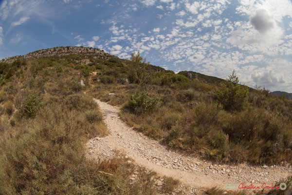 3/3  Vue de la vallée et du plateau en aval de la Foz de Lumbier, Navarra