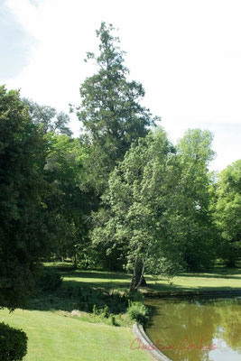 Parc du Château de Latresne, site de l'Aérocampus Aquitaine