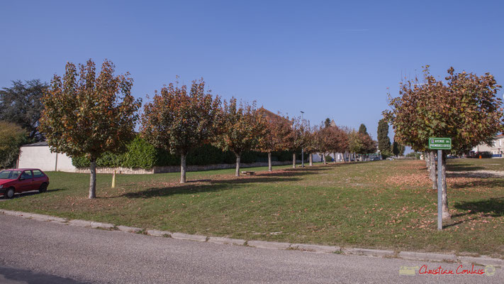 6 Avenue des côtes, Cénac, Gironde. 16/10/2017.
