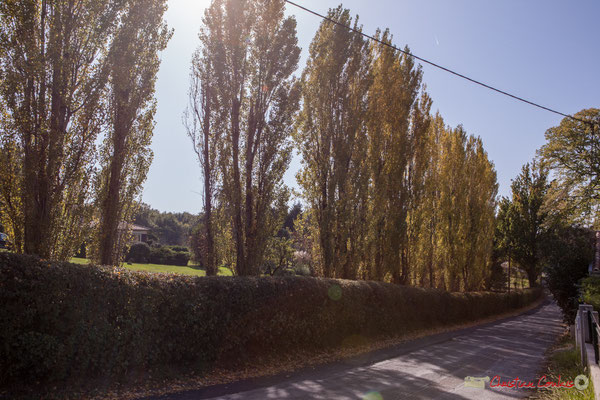 Partie descendante vers le bourg. Avenue de Vinagrey, Cénac, Gironde. 16/10/2017