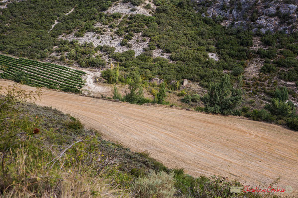 En amont des Gorges de Lumbier, après le Pont du Diable, depuis la villa romaine / Aguas abajo de la Foz de Lumbier tras el Puente del Diablo, de la Roman villa