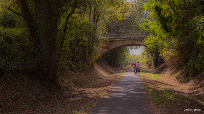 D'Espiet à l'ancien tunnel ferroviaire de la Sauve majeure. Ouvre la voix, samedi 3 septembre 2022. Photographie © Christian Coulais