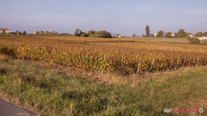 En direction des hameaux du Garde et de Montignac, avenue de Mons, Cénac, Gironde. 16/10/2017