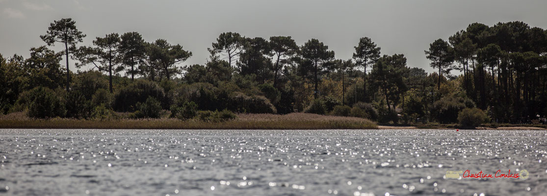 Sortie en voile, sur un multimono de l'Association la Companhia, Lac de Sanguinet. 28/09/2019