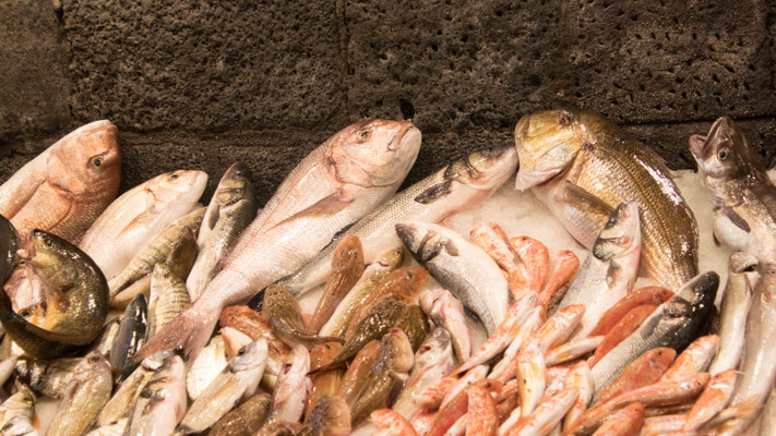 Auf dem Fischmarkt in Catania