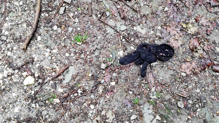 warum wirft jemand bei dieser Kälte seine Handschuhe weg?