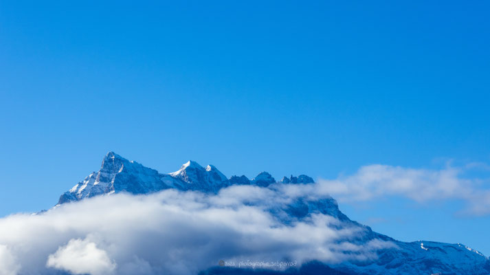 Dents du Midi