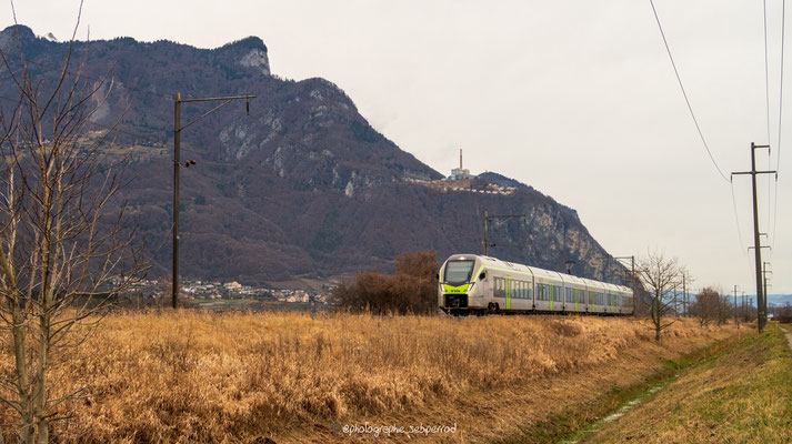 RABe 528 109 MIKA sur la ligne du Tonkin (09.02.2024)