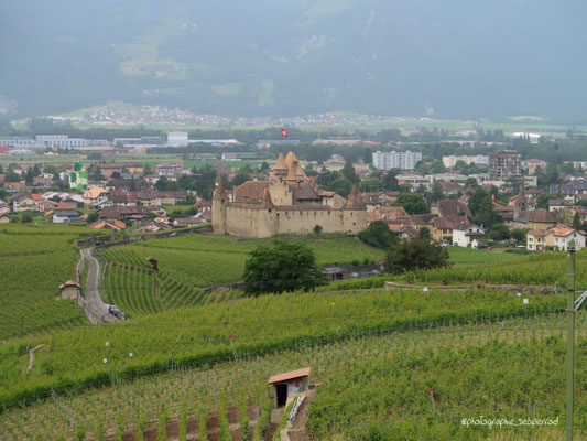 Château d'Aigle