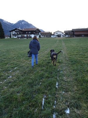 Die große Wiese direkt an unserer Unterkunft... konnte nicht besser sein!!!