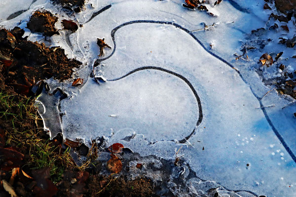Kurt Eberhardt - Winterwunder