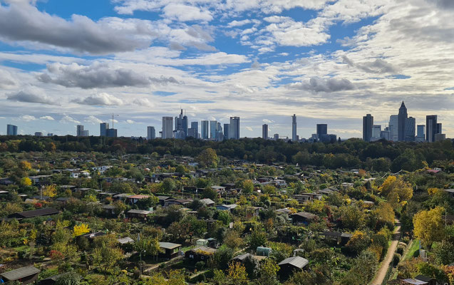 Claudia Kleinbeck - Kleingärtner vor Frankfurter Skyline