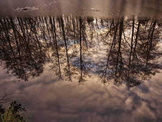 Reinhard_Albrecht_Alles_im_Fluss