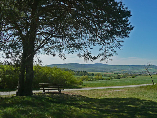 Konni - Ruhebank mit Feldbergblick