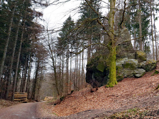 Kurt Eberhardt_Naturdenkmal Hauburgstein im Norden Kronbergs