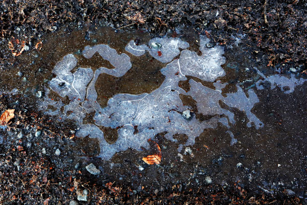 Kurt Eberhardt - Winter ade mit Eisgespenstern