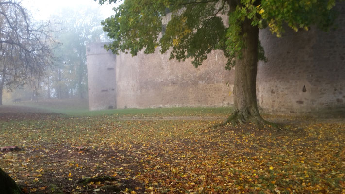 Brita von Schenck_ Der Sommer geht, der Herbst ist da