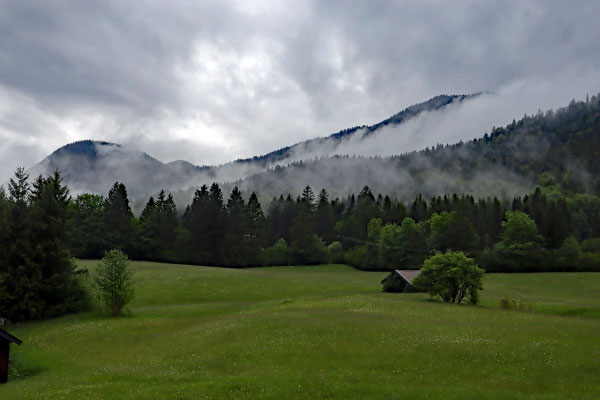 Kurt Eberhardt - Nach dem Regen tritt der Dunst aus Wiesen und Wäldern