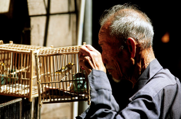 Wolfgang Diehl_Bird Marketl