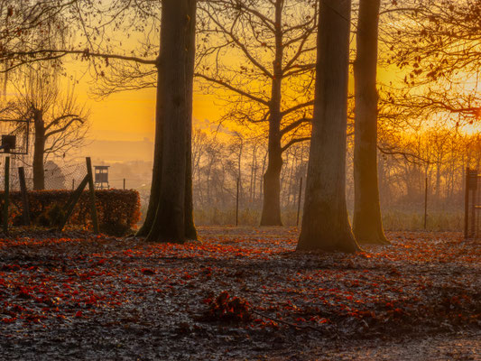 Norbert Schäper - Sonnenaufgang bei Nebel