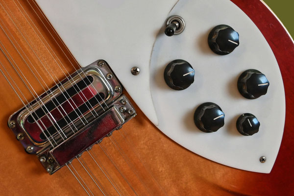 Gerhard Müller - 12 saitige Rieckenbacker Gitarre