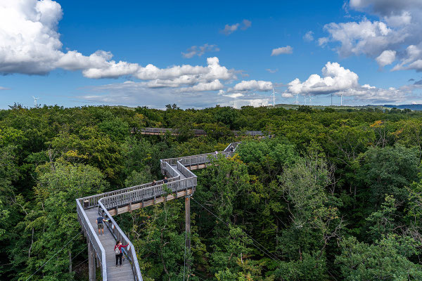Janos Reisz -Baumwipfelweg