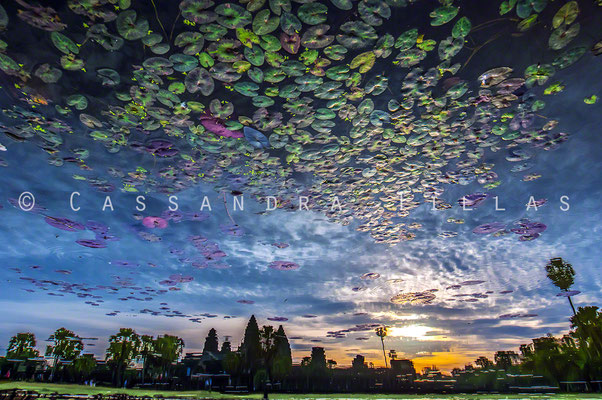 The reflecting pool at Angkor Wat. Siem Reap, Cambodia.