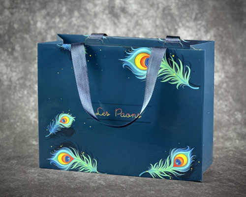 Smartfold Luxus Papiertasche mit Satain Band Henkel