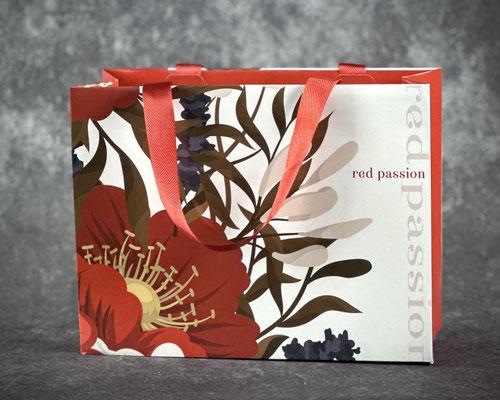 Smartfold Luxus Papiertasche mit Satain Band Henkel
