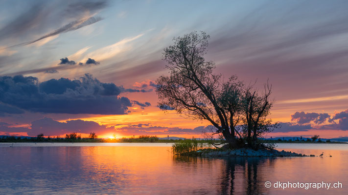 Sonnenuntergang am Bodensee 2 (Österreicht)