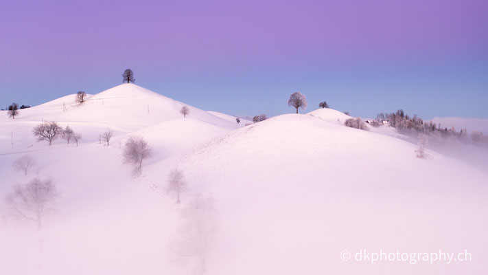 Drumlins, Winter 2024/2025