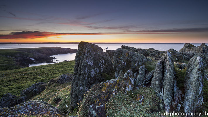 Sonnenaufgang Skokholm, aufgenommen in Wales. Bild-Nummer: 323