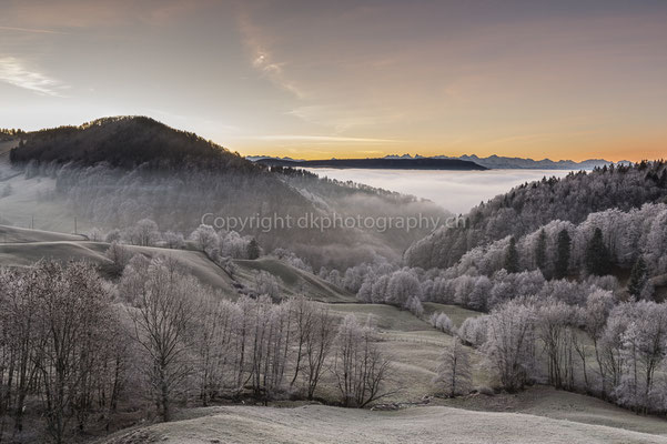 Nebel im Mittelland, Mümliswil (CH). Bild-Nummer: 259