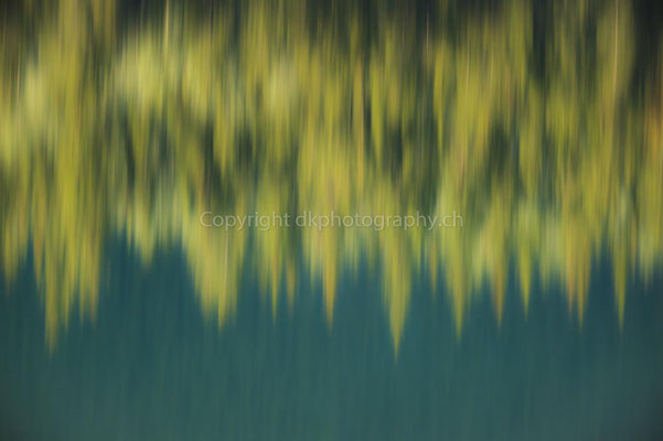 Tannenwald gespiegelt im türkisfarbenen Wasser, Kanada Bild-Nummer: 303