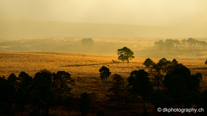 Afrika mitten in Irland