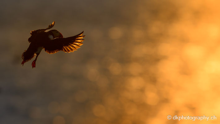 Landeanflug