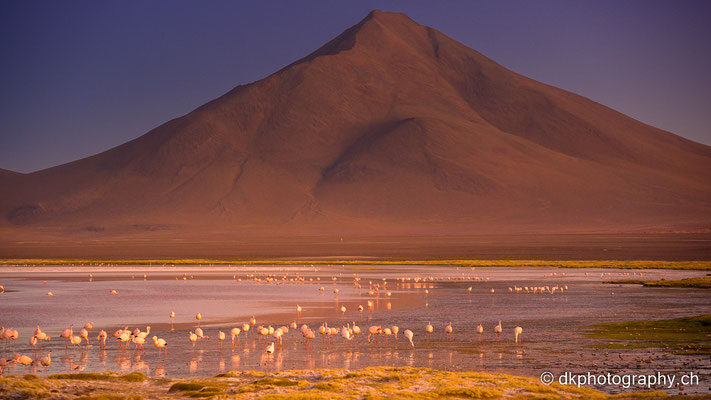 Laguna colorada am Abend, Bolivien