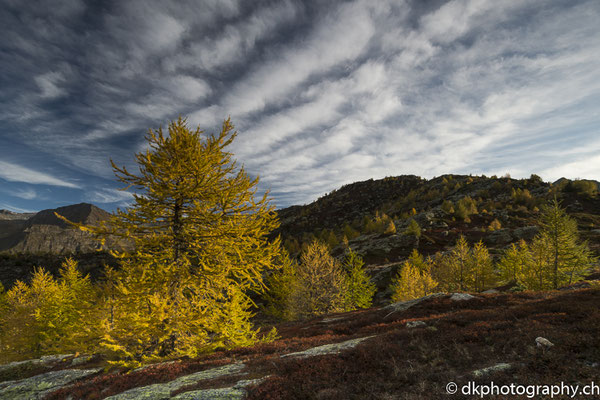 Herbst im Tessin (Ritomsee) 1. Bild-Nummer: 352