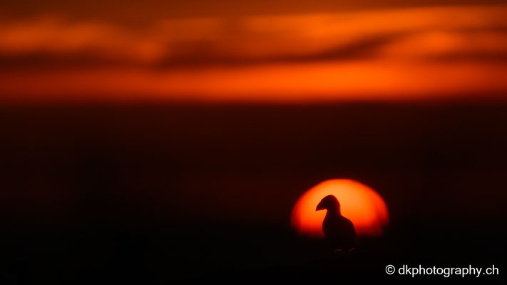 Vor der Sonne stehen