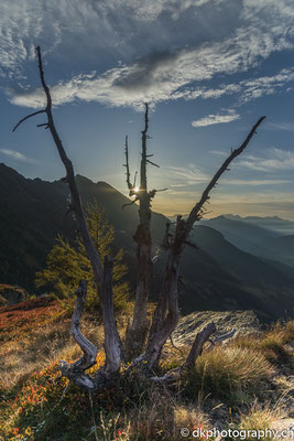 Herbst im Tessin (Ritomsee) 2. Bild-Nummer: 351