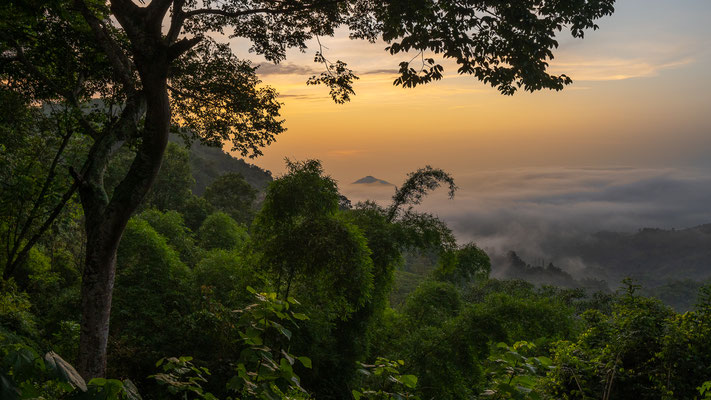 Traumhafter Sonnenuntergang im Dschungel