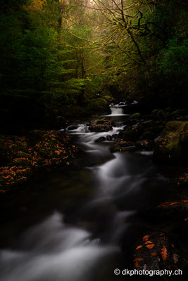 Irland Süd-West